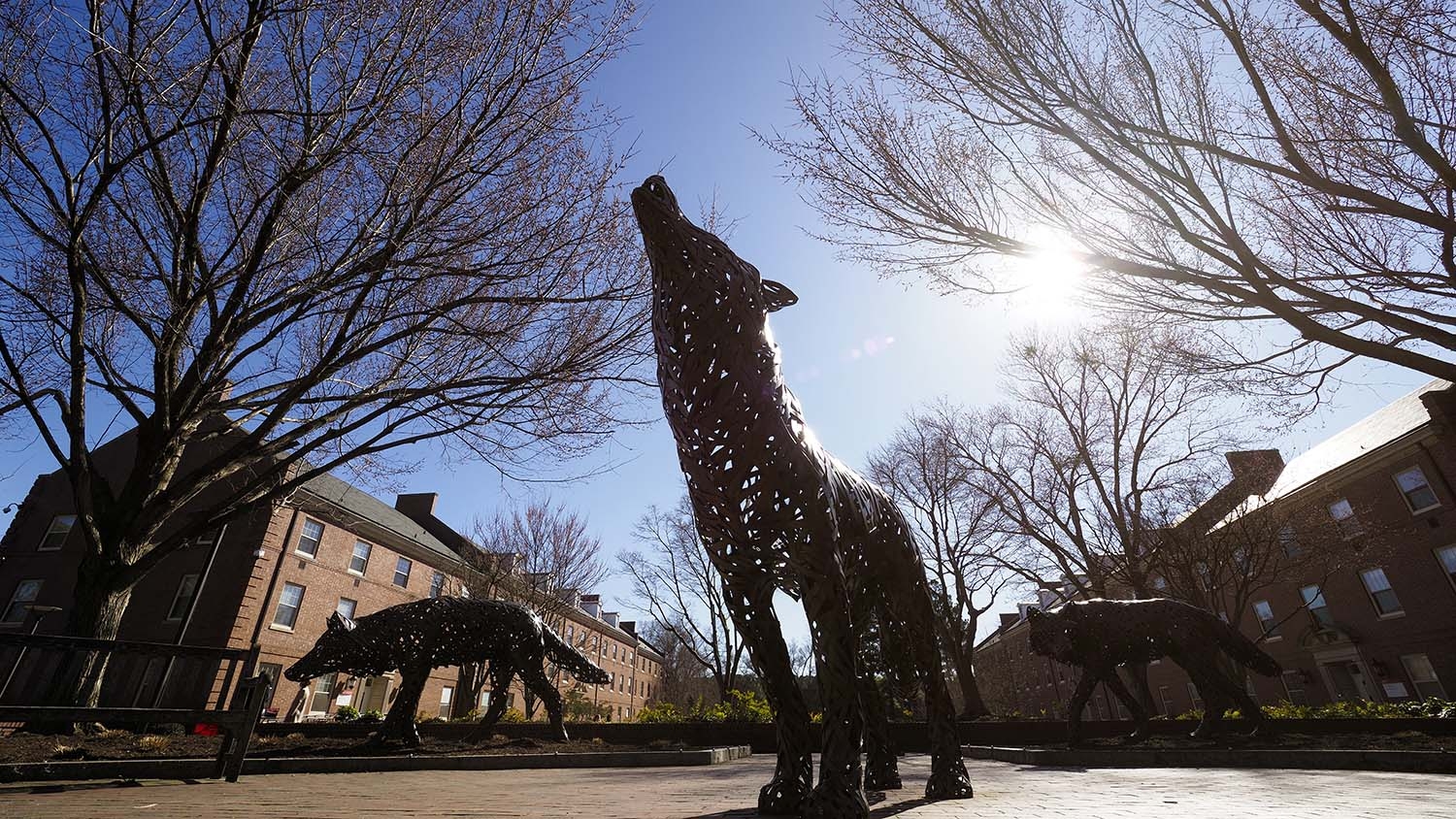 A statue of a wolf on a university campus